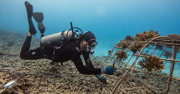 Blancpain And Fregate Island Private Release Short Film Presenting Joint Conservation Efforts