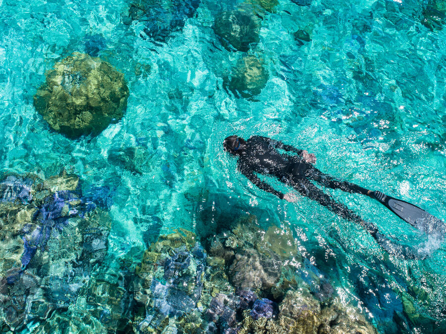 diving in Bora Bora